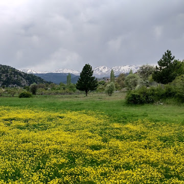 caferkucuk adlı kullanıcının profil fotoğrafı